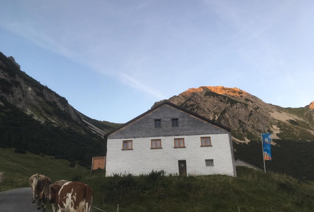 Weißes Haus vor Bergkulisse mit Kühen im Vordergrund