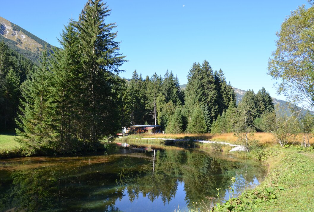 Kleiner See umgeben von Bäumen und Wiesen unter blauem Himmel