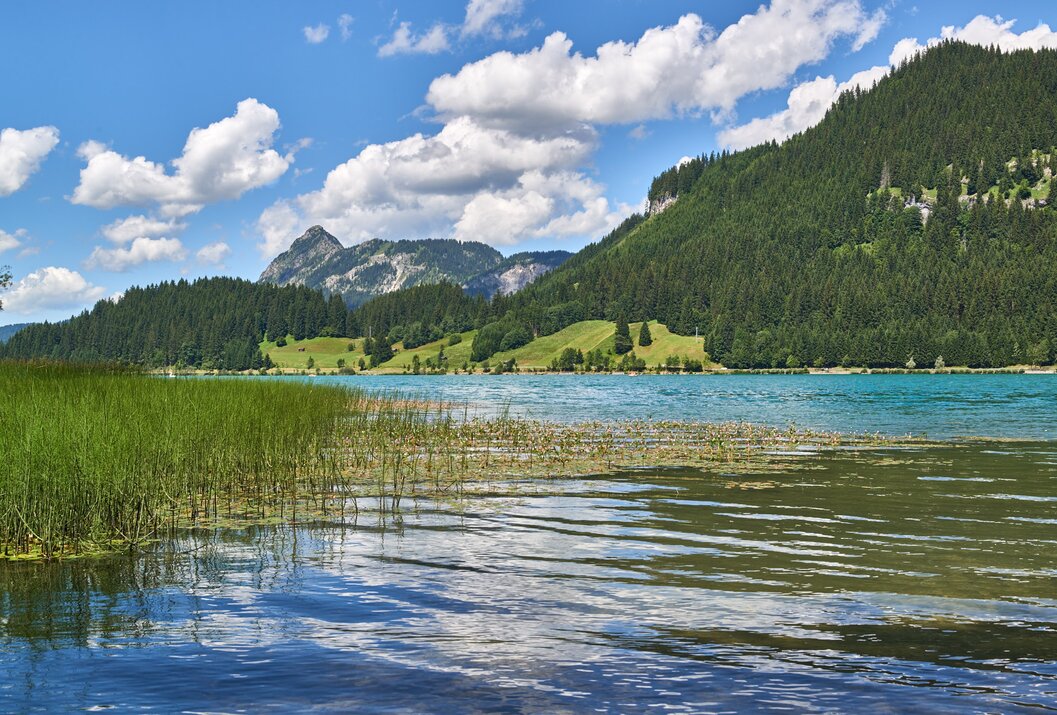 Bergsee mit grünen Hügeln und bewaldeten Bergen unter blauem Himmel mit Wolken