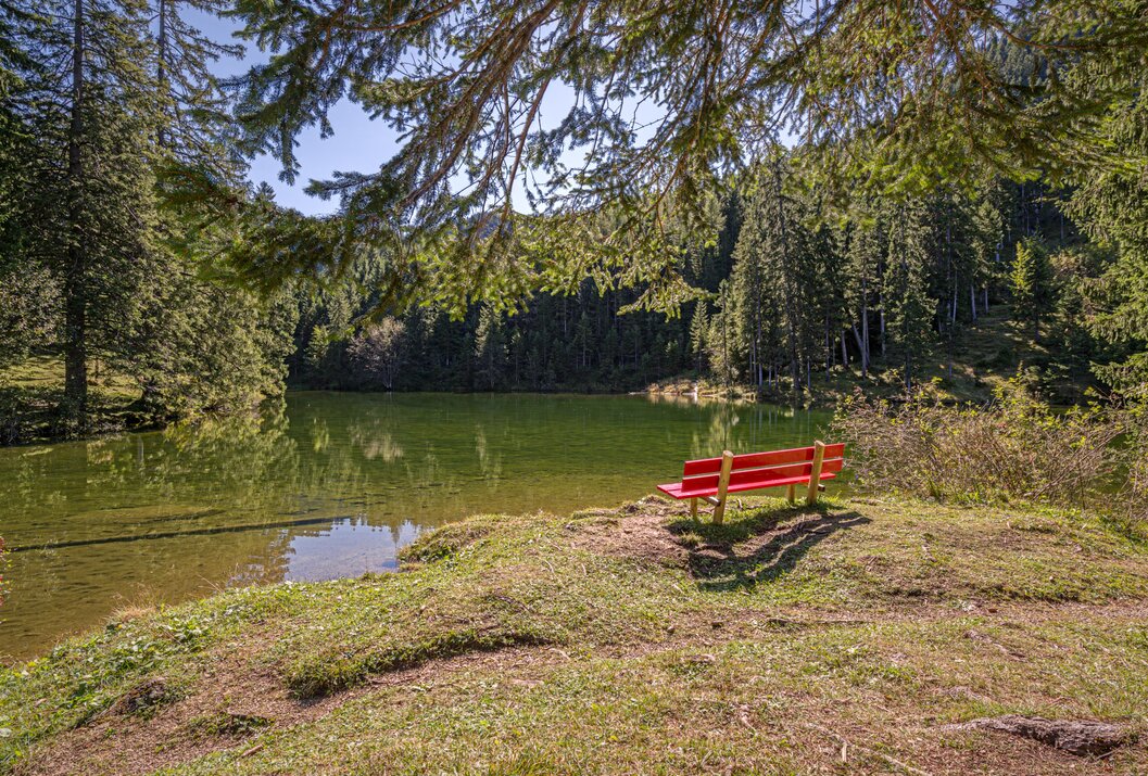 Rote Bank am Ufer eines Sees, umgeben von Bäumen und Grün