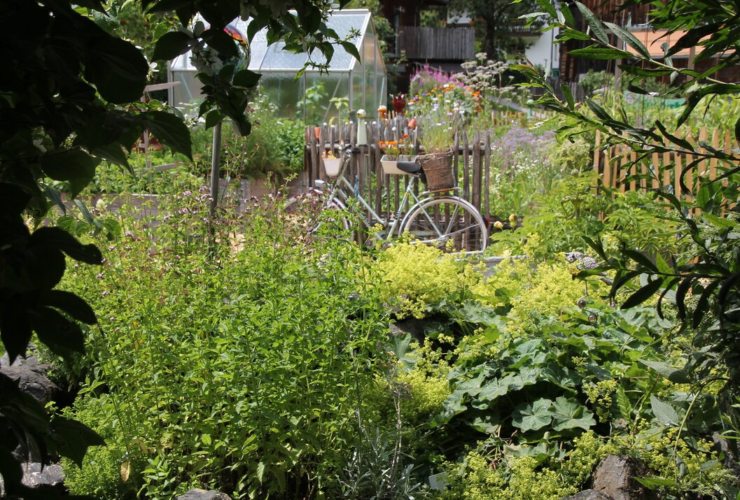 Garten mit weißem Fahrrad am Zaun, Blumen, Gewächshaus im Hintergrund
