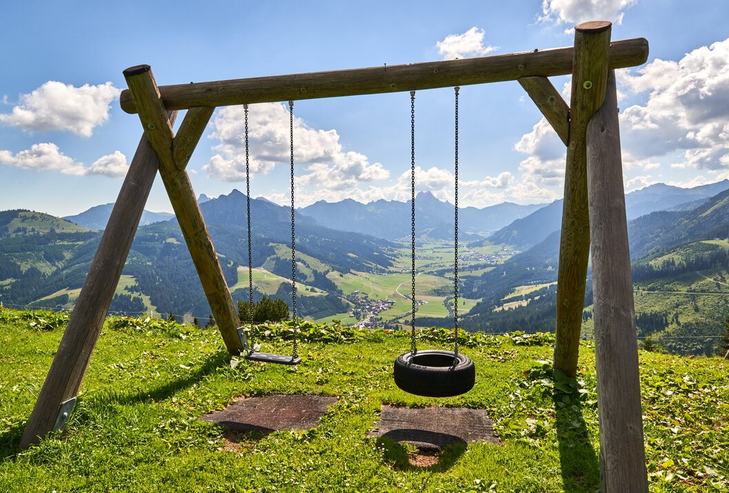 Schaukel mit Reifen und Brett vor Berglandschaft auf grüner Wiese