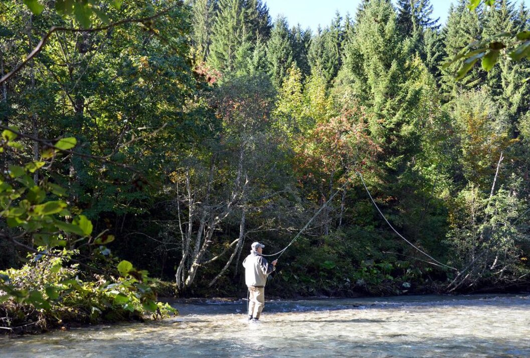Angler wirft Angel in Fluss vor dichtem Wald