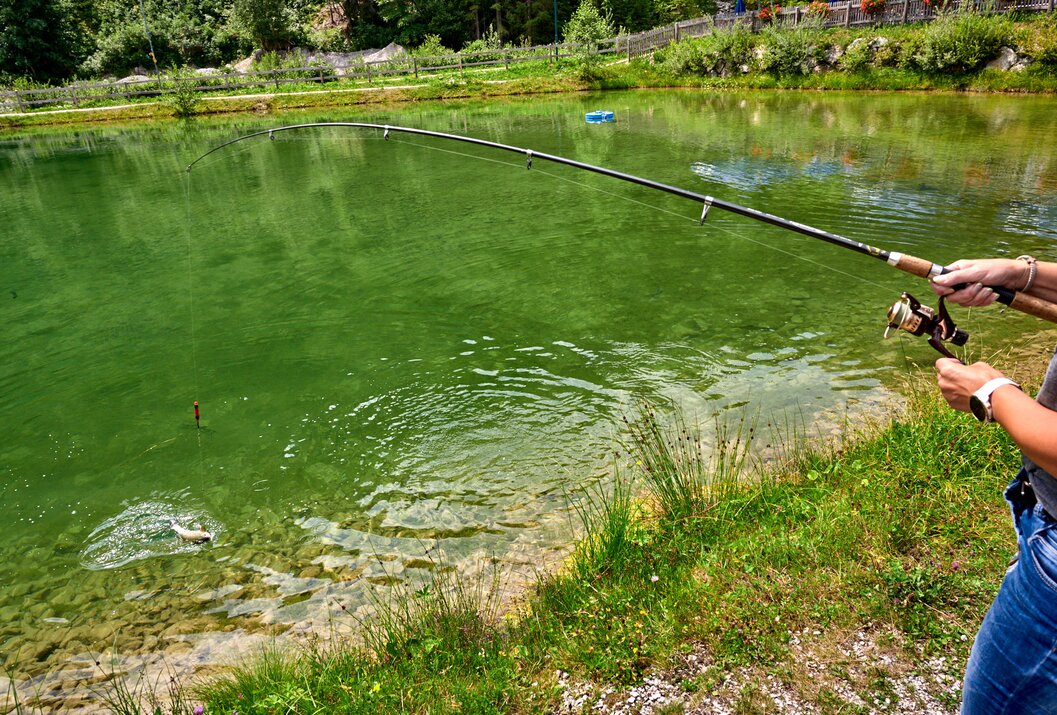 Angelrute über grünem Teich, Fisch springt aus dem Wasser