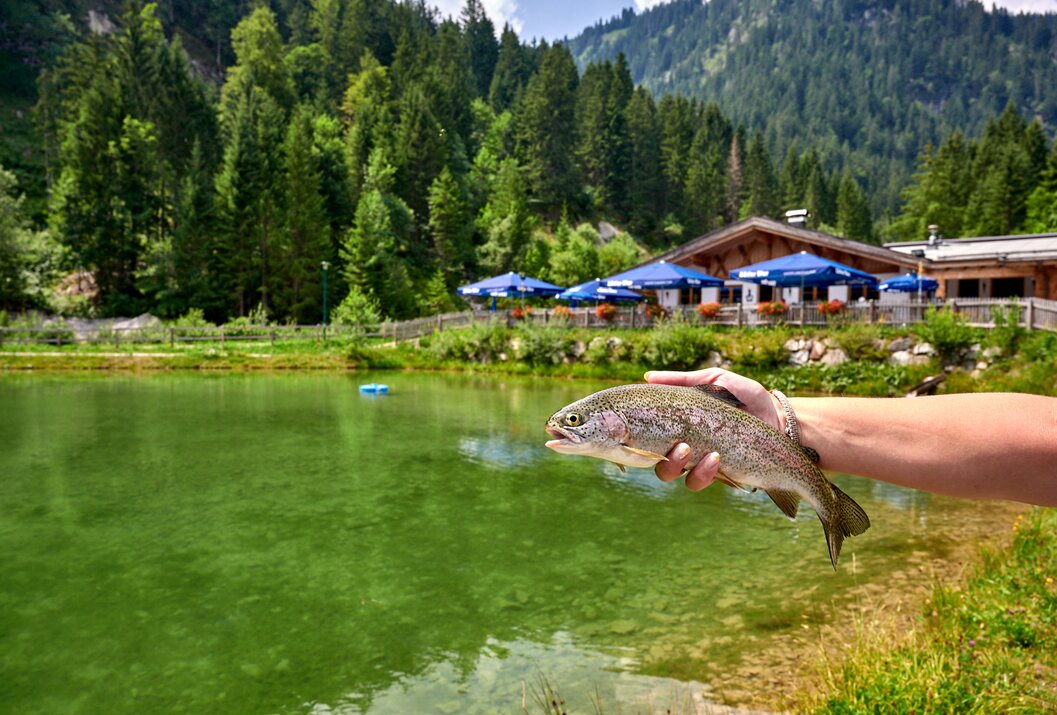 Forelle in Hand vor Bergsee mit Hütte und Bäumen