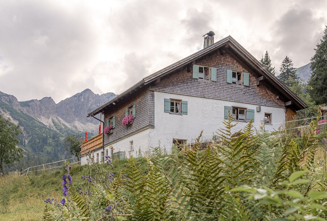 Hütte mit Holzfassade und grünen Fensterläden vor Bergkulisse und Farnen