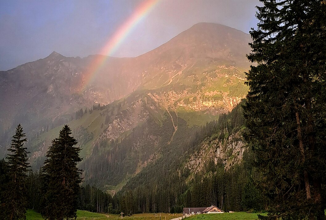 Regenbogen über Berglandschaft mit Wiesen und Bäumen