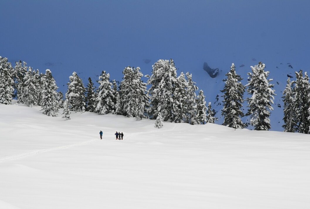 Winterlandschaft mit schneebedeckten Bäumen und einer kleinen Gruppe von Wanderern im Schnee