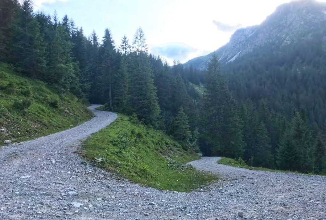 Serpentinenartiger Schotterweg führt durch grüne Landschaft mit Bäumen und Bergen