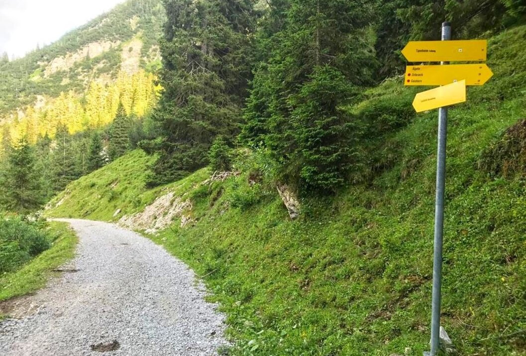 Schotterweg führt bergauf, gelbe Wegweiser, grüne Wiese und Bäume am Hang