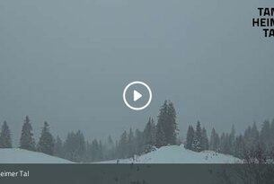 Nesselwängle - Krinnenalpe