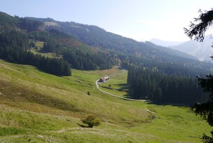 Jungholz around the Grüntensee and back