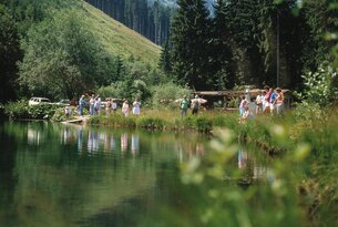 Fish pond Tannheimer Tal