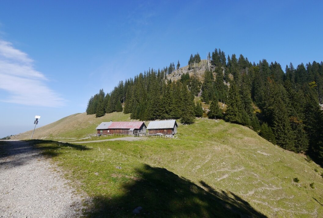 Two alpine huts on a green mountain meadow at the edge of the forest