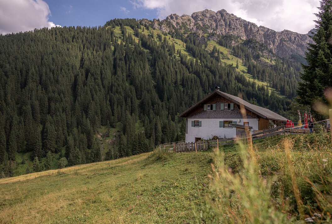 White mountain house on a green meadow in front of a mountain forest