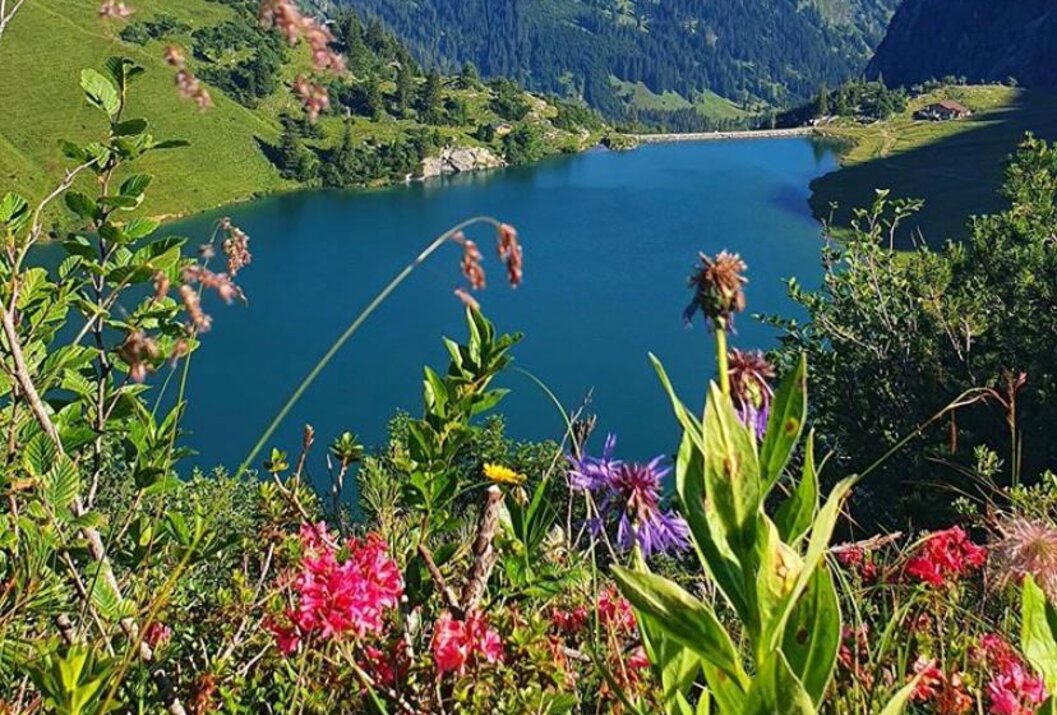 Blue mountain lake framed by colorful alpine flowers