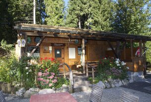 Fish pond Tannheimer Tal