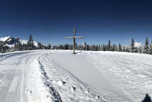 Höhenloipe Krinnenalpe