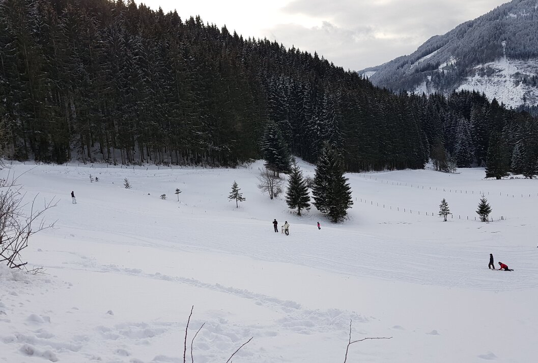 Verschneite Berglandschaft mit Wald und spielenden Menschen