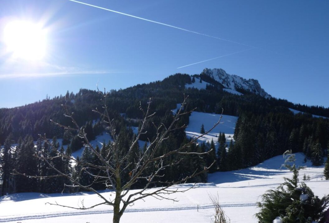 Sunny winter landscape with snow-covered mountains and forest