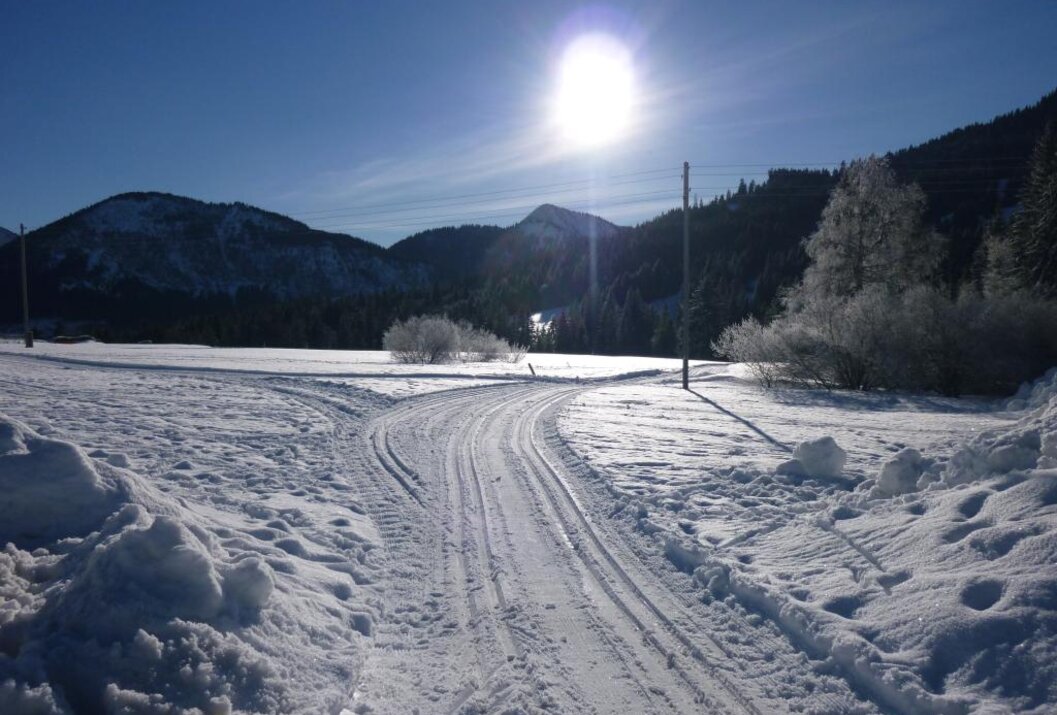 Sunny winter day with cross-country ski trails and snow-covered mountains
