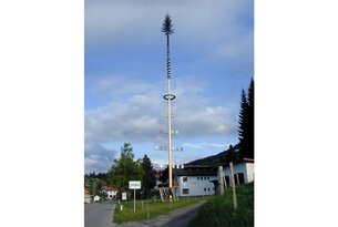 Maibaum aufstellen