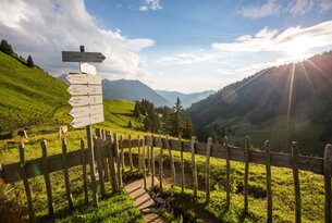 Grenzgänger Stage 1 - Bschießer, Ponten, Zirleseck and Willersalpe - Hinterstein