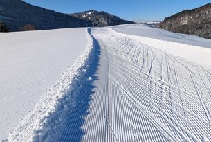 Kurze Langlaufrunde in Jungholz (unterer Abschnitt)