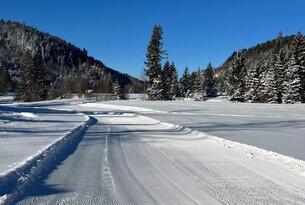 Kurze Langlaufrunde in Jungholz (unterer Abschnitt)