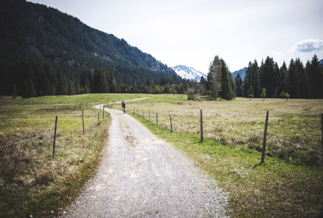 Zinkenrunde (8017)