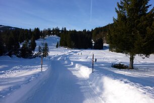 Schattwald - Unterjoch