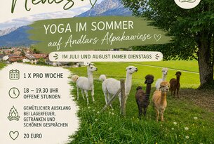 Yoga auf der Alpakawiese