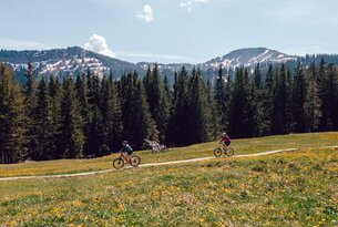 Rund ums Immenstädter Horn
