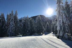 Snow-covered cross-country ski trail Haldensee - large loop