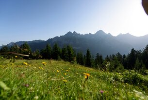 Schnitzerweg - Alpe Stubental - Panorama High Trail