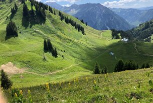 Von Hinterstein über Bscheißer und Ponten zur Willersalpe
