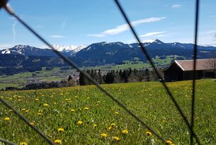 Grüntenseerunde