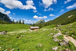 Sebenalm (1,650 m)