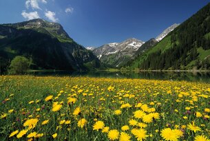 Vilsalpsee loop
