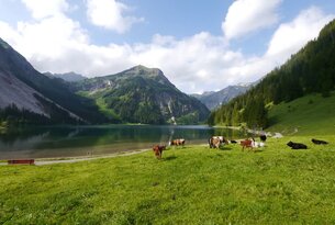 Hike around Lake Vilsalpsee